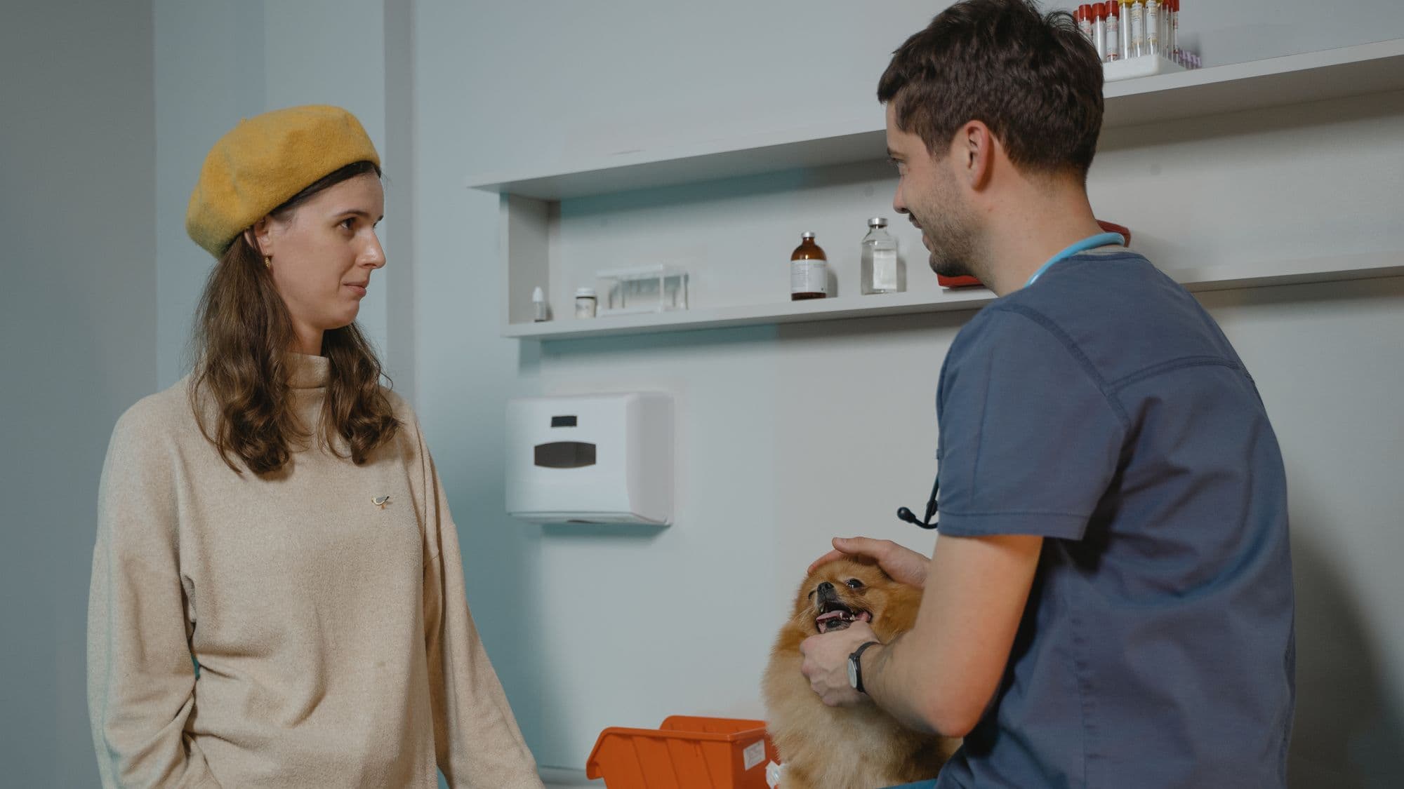 A vet talking with an owner holding their dog during a consultation