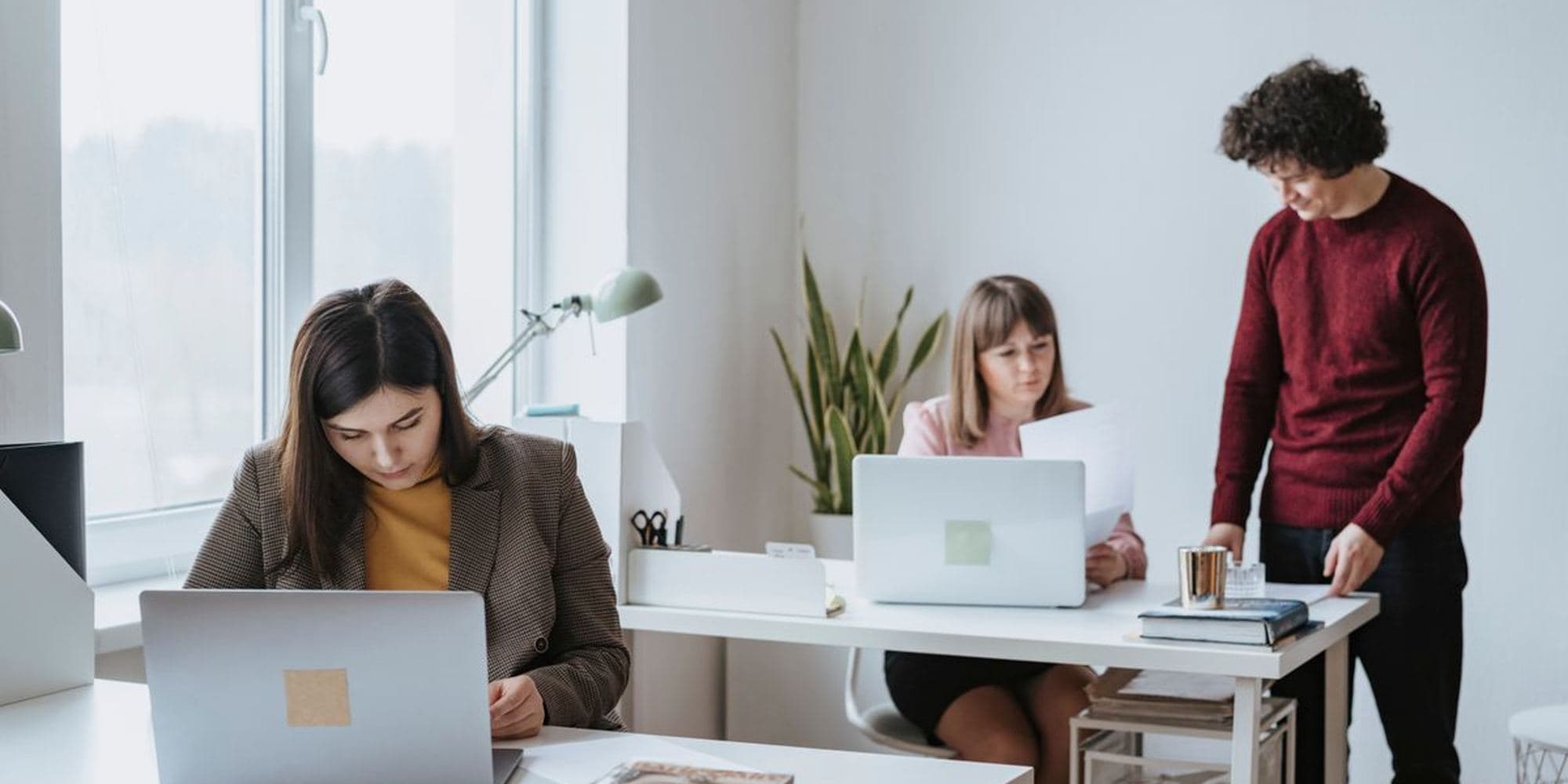 People working at desks in a bright studio with plants